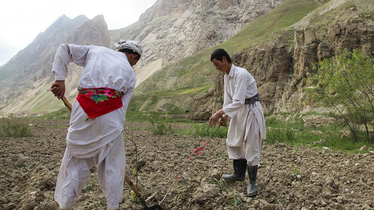 two men are working on a field with a shovel