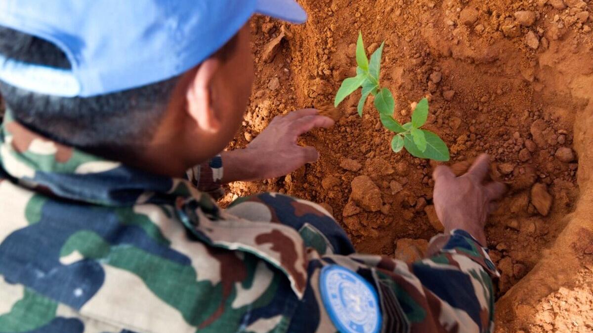 Conflict and Natural Resources