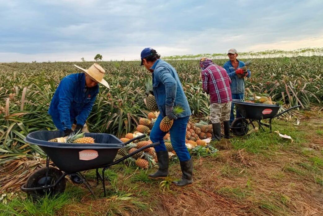 ‘El Remanso’, el predio que promete consolidar el proceso de reincorporación de firmantes en Meta