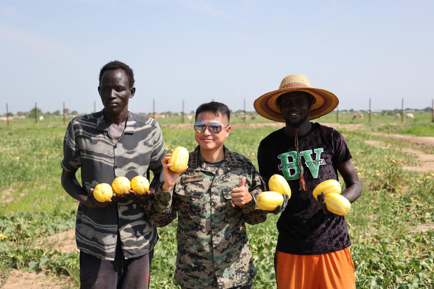 CIMIC activities
