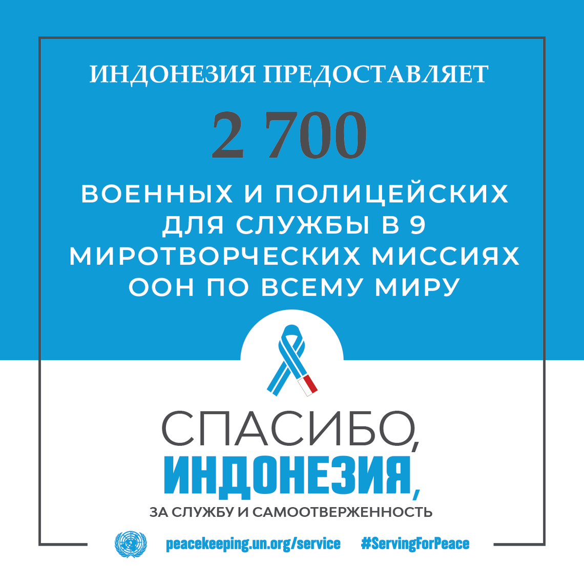 Спасибо, Индонезия, за службу и самоотверженность