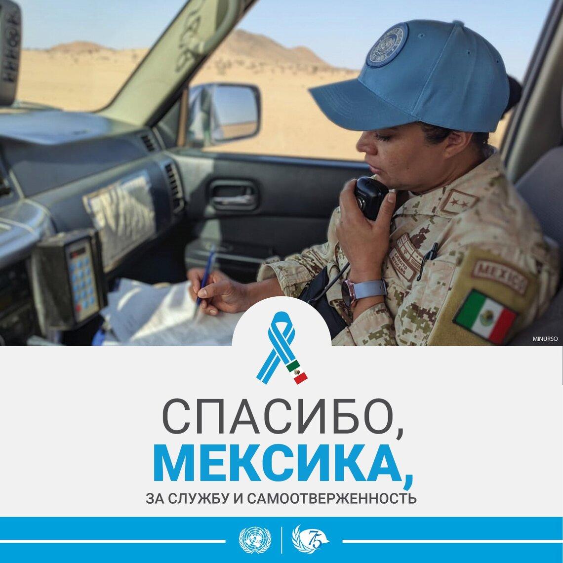 миротворцы