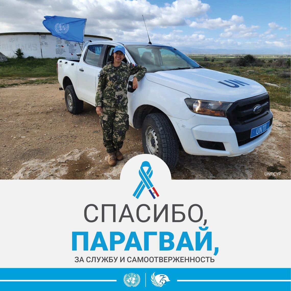 миротворцы