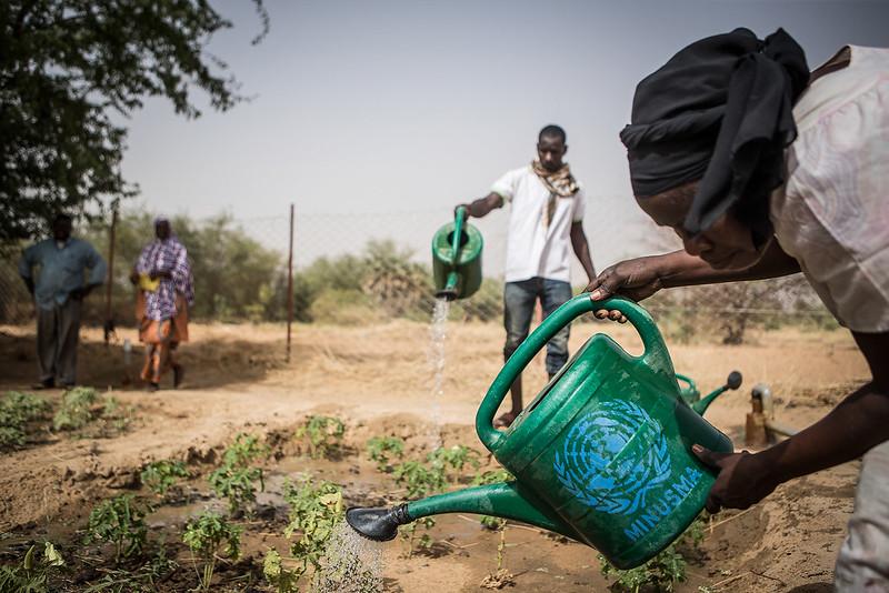 One of MINUSMA’s agricultural projects in Mali. Photo credit: UN Photo/Harandane Dicko